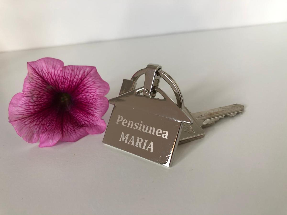 Colibiţa Pensiunea Maria מראה חיצוני תמונה